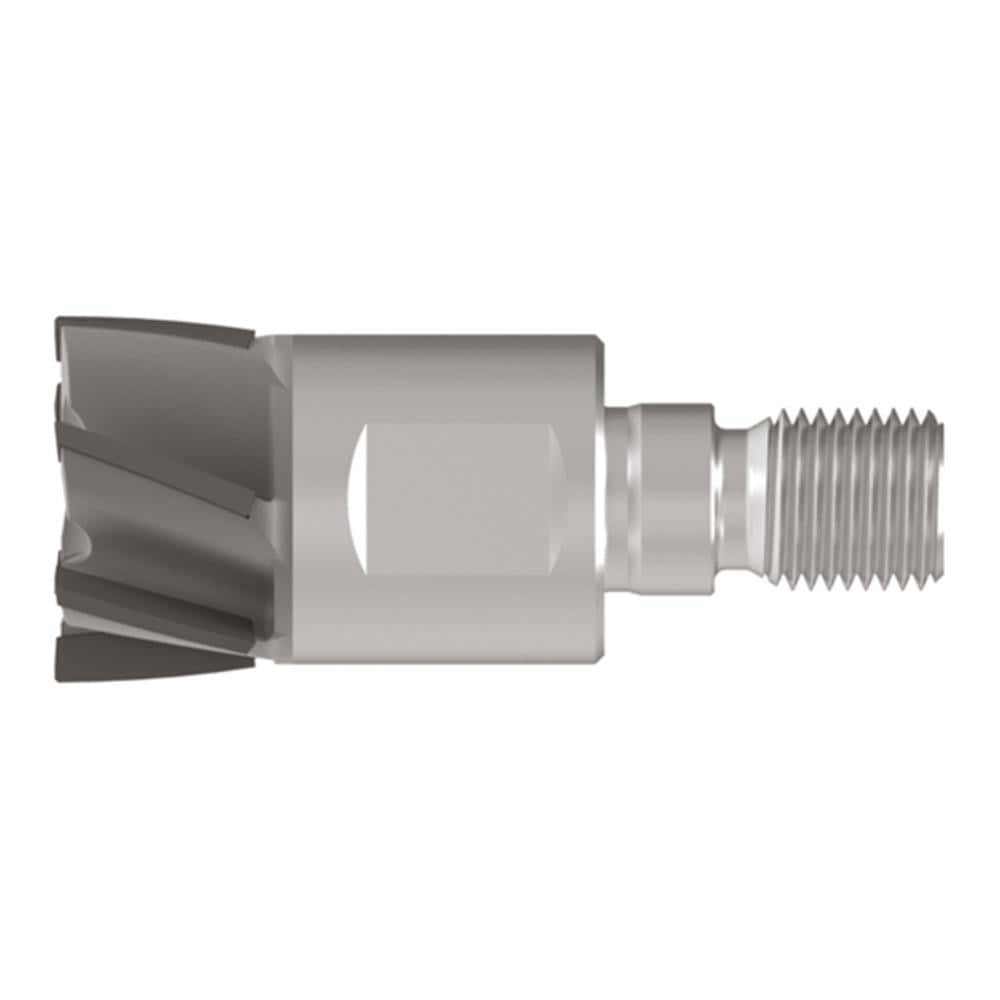 Corner Radius & Corner Chamfer End Mill Heads; Mill Diameter (mm): 32.00 ; Chamfer Width (mm): 0.200 ; Chamfer Angle: 45.000 ; Length of Cut (mm): 10.0000 ; Number Of Flutes: 10 ; Overall Length (mm): 59.0000