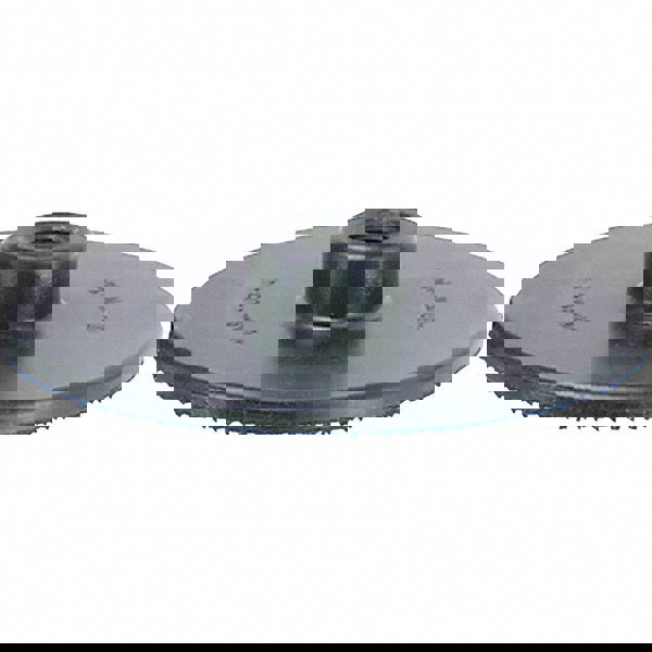 Disc Backing Pad: Hook & Loop