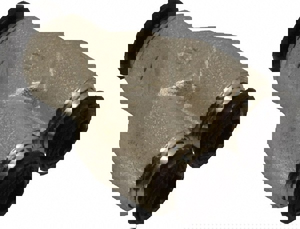 Push-to-Connect Tube x Tube Fitting: Union Y, 4.00 mm OD