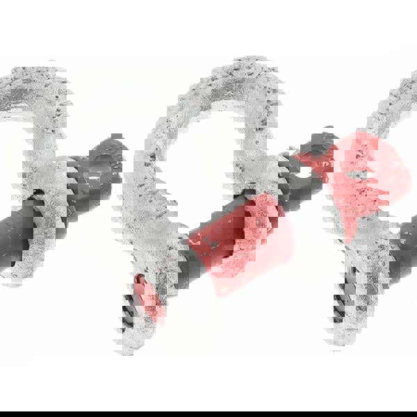 Anchor Shackle: Screw Pin