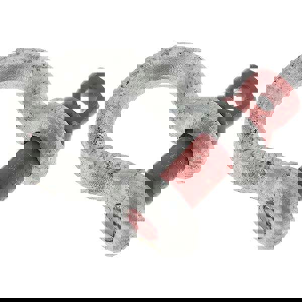 Anchor Shackle: Screw Pin