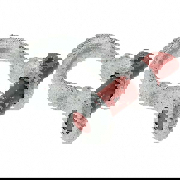 Anchor Shackle: Screw Pin