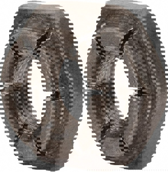 1/4-20 UNC 18-8 Hex Lock Nut with Expanding Flex Top