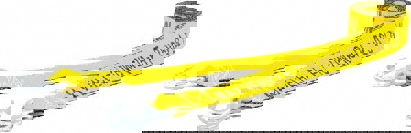 S Hook Polyester Tow Strap