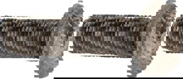 Machine Screw: #10-24 x 3/4