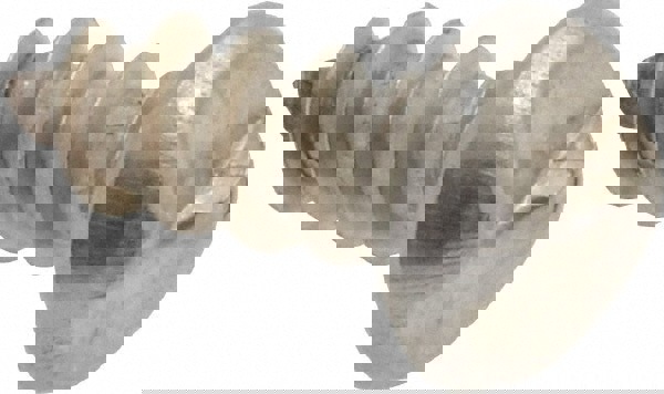 Sheet Metal Screw: #10, Round Head, Slotted