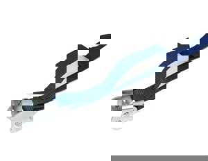 10FT X 1IN LASH STRP W/ CAM BLUE