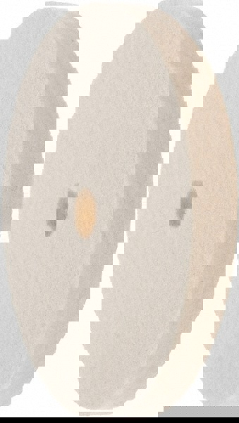 Unmounted Polishing Buffing Wheel: 4