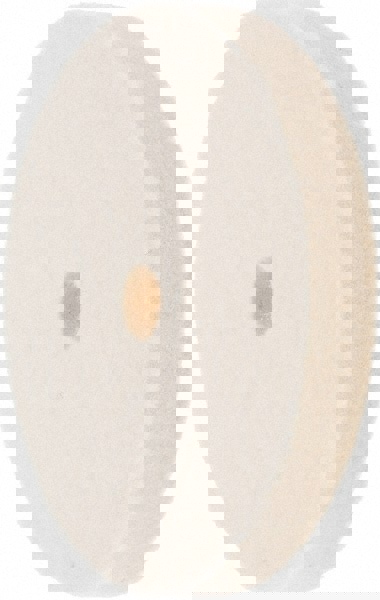 Unmounted Polishing Buffing Wheel: 4
