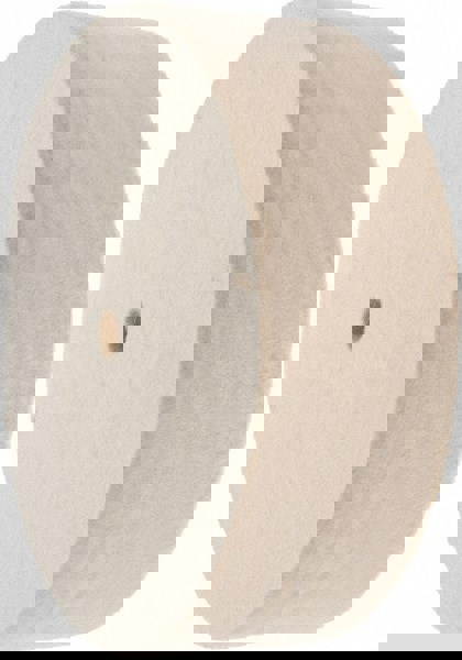 Unmounted Polishing Buffing Wheel: 6