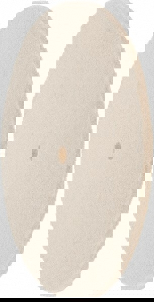 Unmounted Polishing Wheel Buffing Wheel: 8