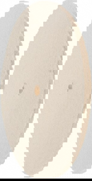 Unmounted Polishing Buffing Wheel: 8