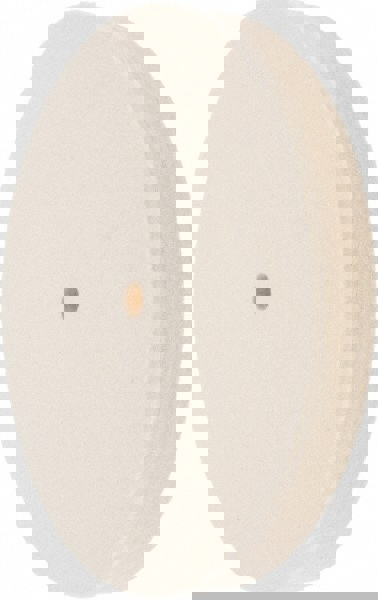 Unmounted Polishing Buffing Wheel: 8