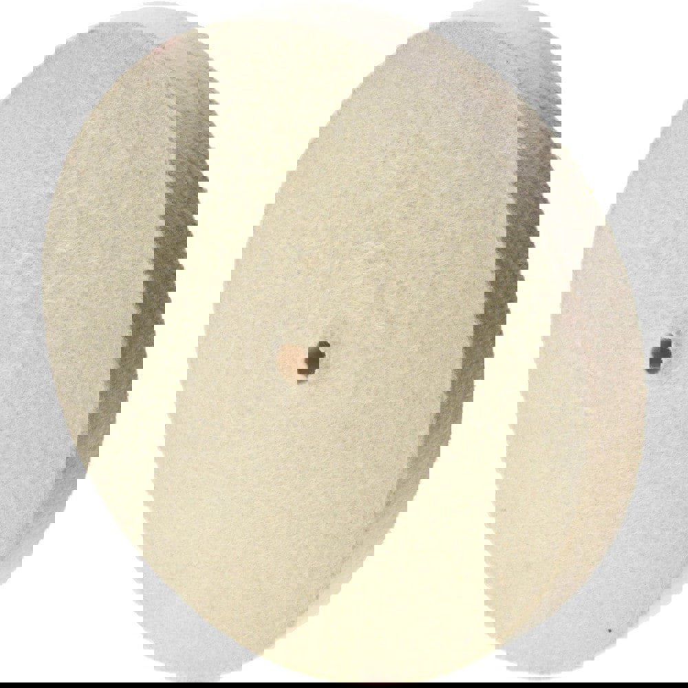 Unmounted Polishing Buffing Wheel: 8