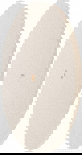 Unmounted Polishing Buffing Wheel: 10