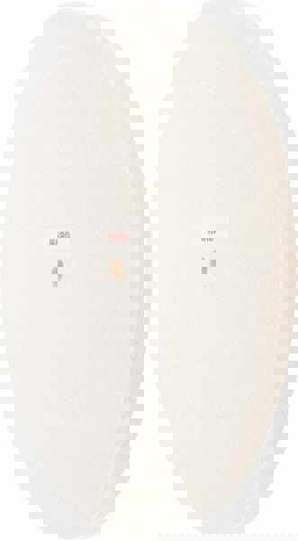 Unmounted Polishing Wheel Buffing Wheel: 10