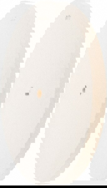 Unmounted Polishing Wheel Buffing Wheel: 10