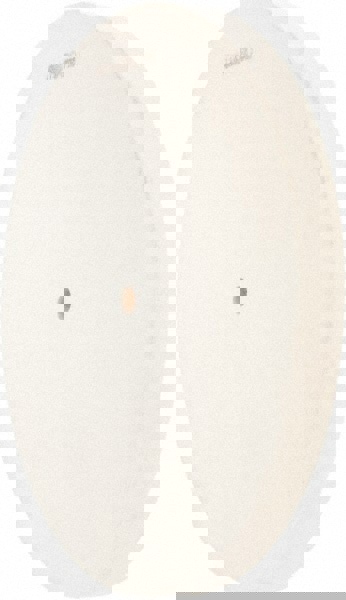 Unmounted Polishing Wheel Buffing Wheel: 10