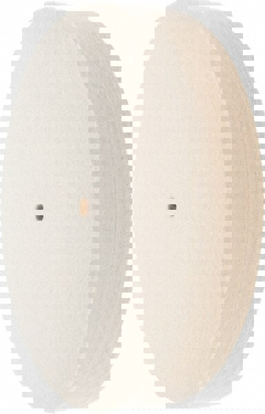 Unmounted Polishing Buffing Wheel: 10