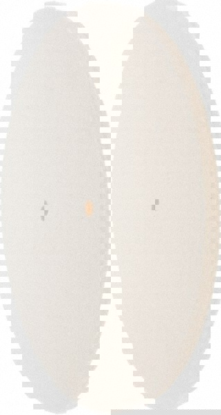 Unmounted Polishing Buffing Wheel: 12