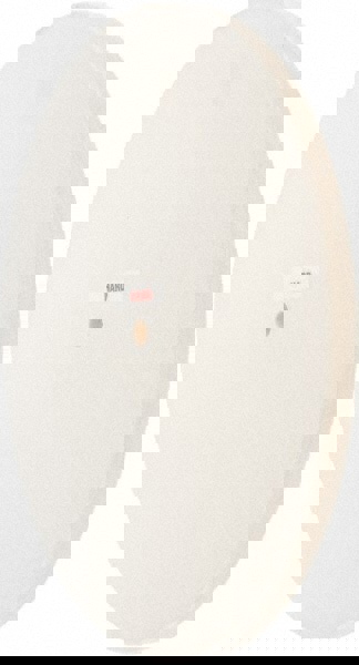 Unmounted Polishing Wheel Buffing Wheel: 12