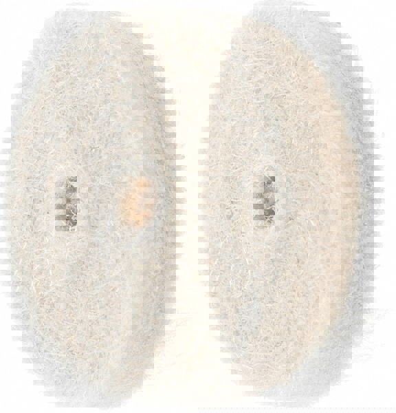 Unmounted Polishing Buffing Wheel: 1/2