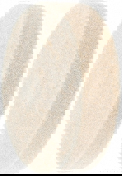 Unmounted Polishing Buffing Wheel: 1