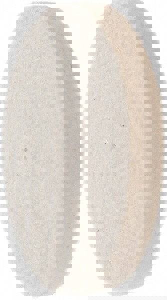 Unmounted Polishing Buffing Wheel: 2