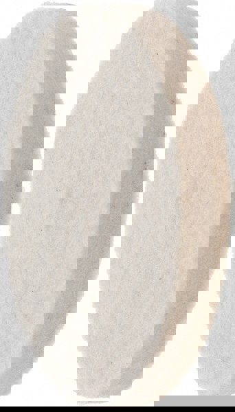 Unmounted Polishing Buffing Wheel: 2