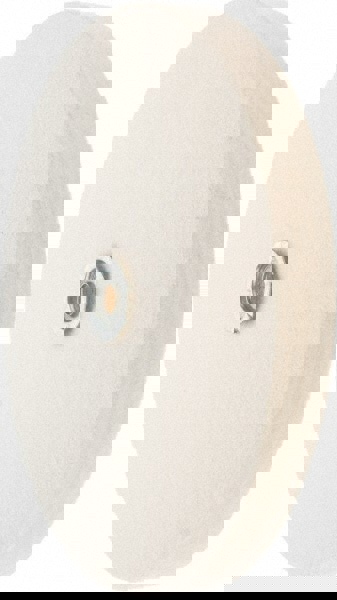 Unmounted Polishing Buffing Wheel: 10