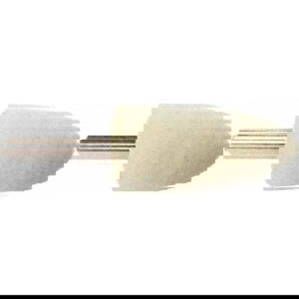 Mounted Polishing Bob: Bullet Shape, 1