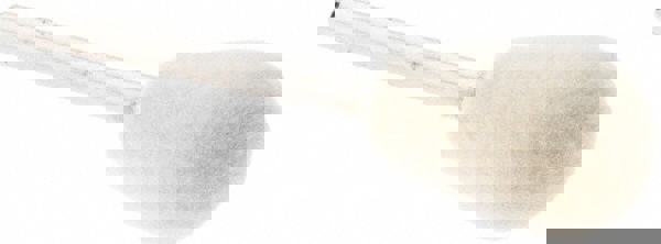 Mounted Polishing Bob: Olive Shape, 1/2