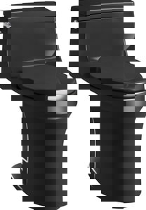 CCY 1.28 1PC EB CLST *SANSOU BLAC