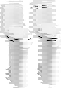 CCY 1.28 ELONG CLST *SANSOU WHIT