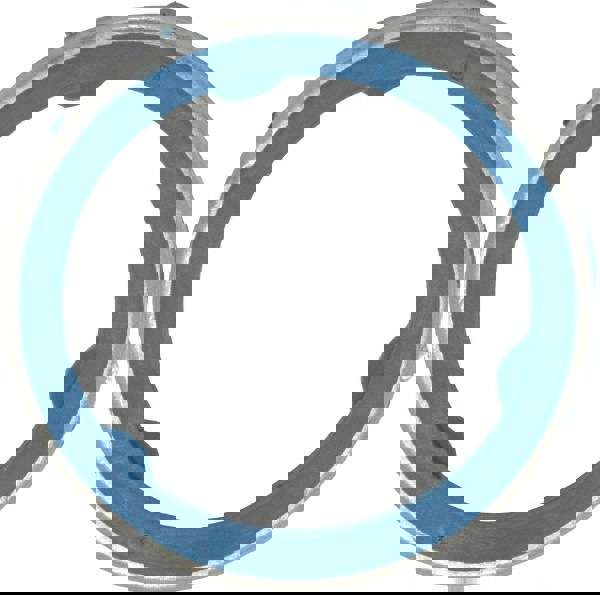 Stainless Steel Sealing Gasket for 1-1/4