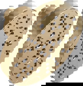 Multi Function Showerhead in Lumicoat Champagne Bronze