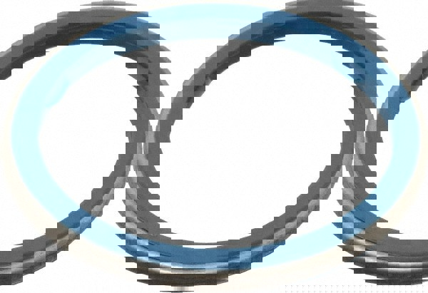 Stainless Steel Sealing Gasket for 2