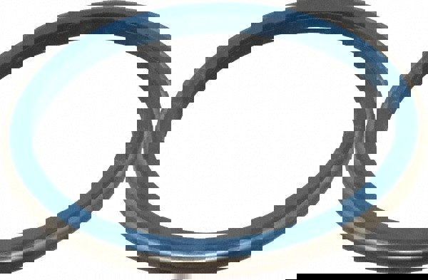 Stainless Steel Sealing Gasket for 2-1/2