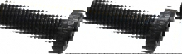 Hex Socket Cap Screw: M4 x 0.70 Metric