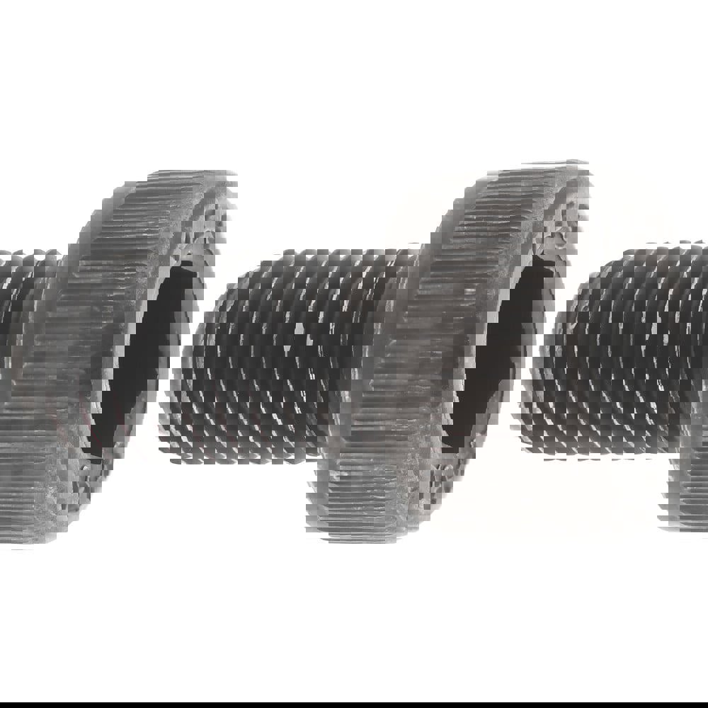 Hex Socket Cap Screw: M6 x 1.00 Metric