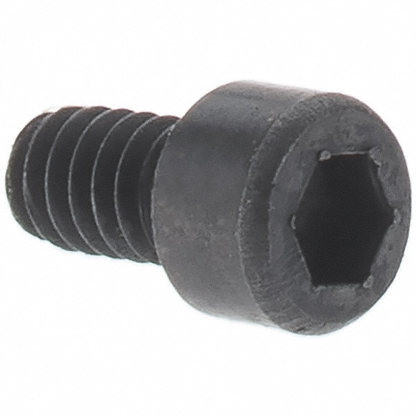 Metric Shcs Alloy Steel