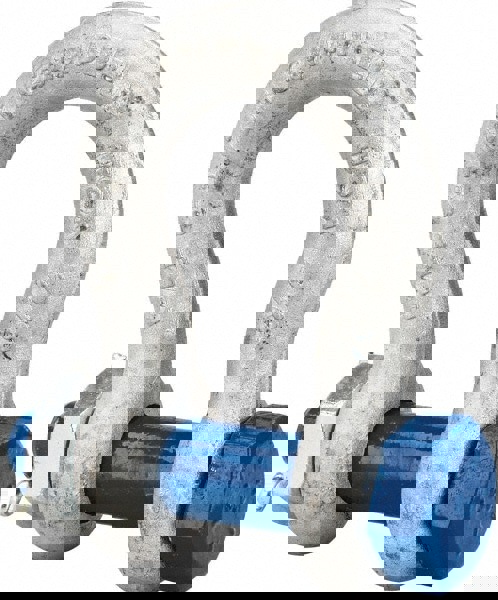 Anchor Shackle: Bolt Pin
