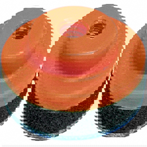 Disc Backing Pad: Accessory