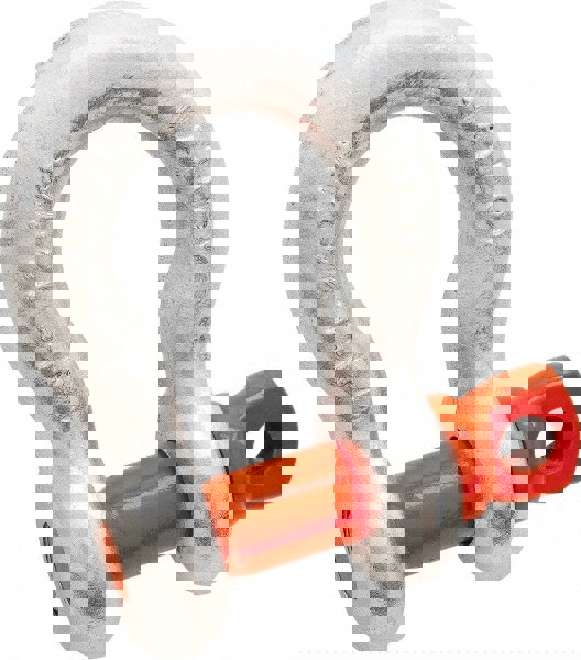 Anchor Shackle: Screw Pin