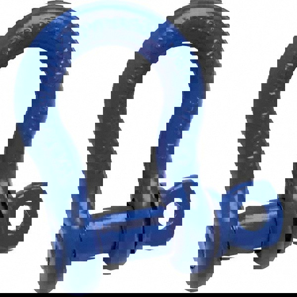 Anchor Shackle: Screw Pin