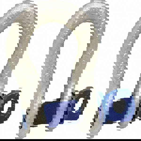 Anchor Shackle: Screw Pin