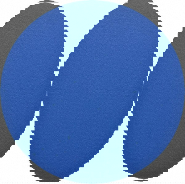 Disc Backing Pad: Adhesive & PSA