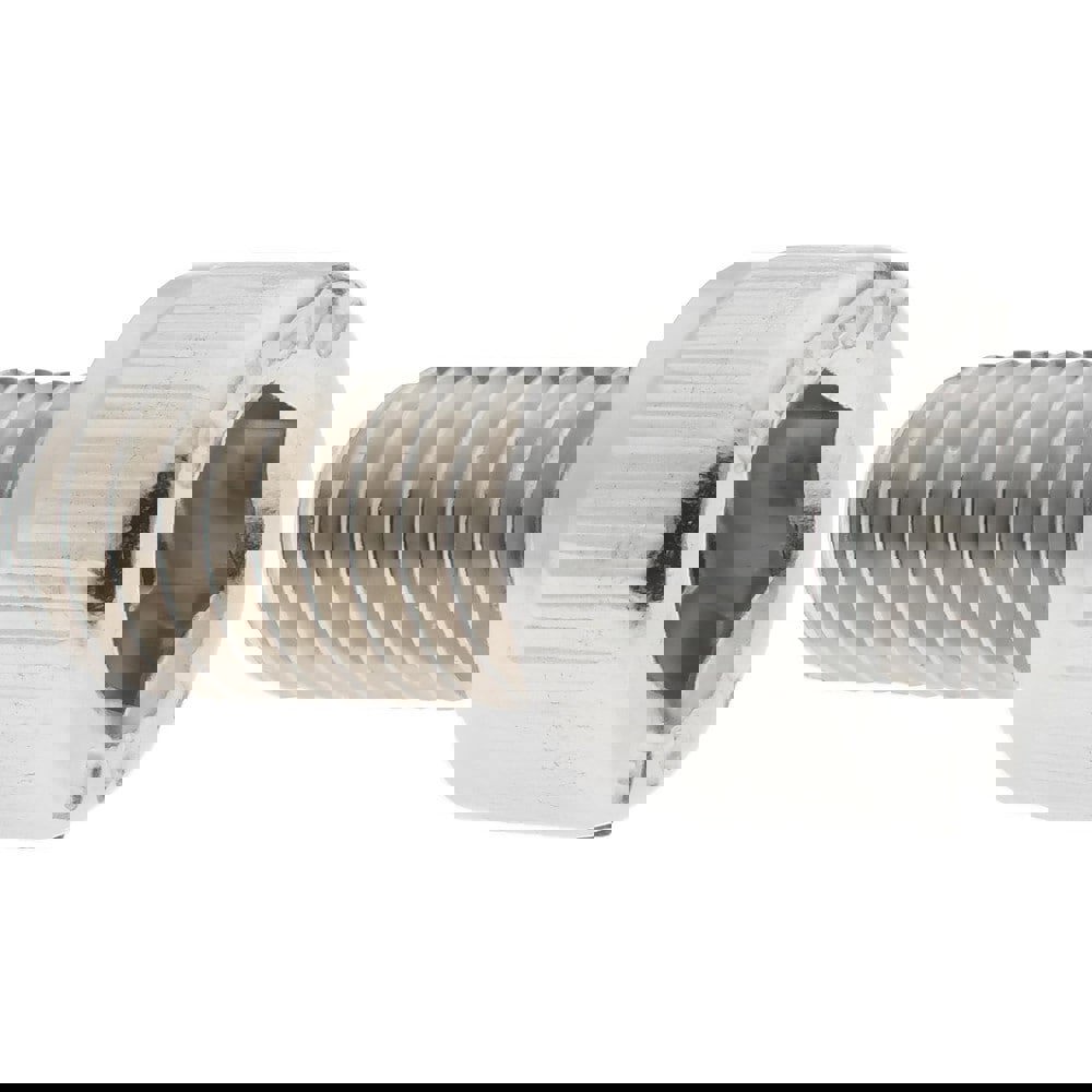 Hex Socket Cap Screw: M6x1, 12.00 mm Length Under Head, 316 & Austenitic Grade A4 Stainless Steel, Bright/Uncoated Finish