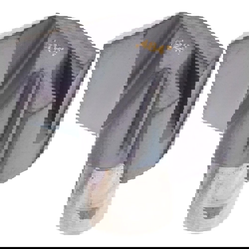 ICP0484 IC908 Carbide Replaceable Tip Drill