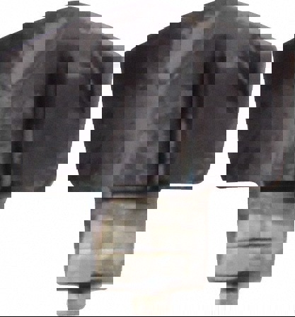 ICP0256 IC908 Carbide Replaceable Tip Drill